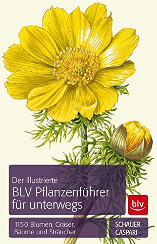 Der illustrierte BLV Pflanzenführer für unterwegs: 1150 Blumen, Gräser, Bäume und Sträucher - Caspari, Claus, Schauer, Thomas
