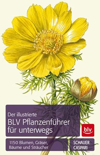 Stock image for Der illustrierte BLV Pflanzenfhrer fr unterwegs: 1150 Blumen, Grser, Bume und Strucher for sale by medimops