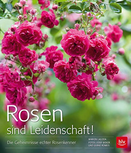 Rosen sind Leidenschaft! Die Geheimnisse echter Rosenkenner. Fotos: Josef Bieker und Ulrike Romeis. - Lagoda, Marion, Josef Bieker und Ulrike Romeis