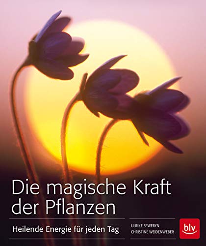 Die magische Kraft der Pflanzen: Heilende Energie für jeden Tag - Weidenweber, Christine, Seweryn, Ulrike