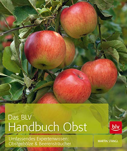 Stock image for Das BLV Handbuch Obst: Umfassendes Expertenwissen: Obstgehlze & Beerenstrucher for sale by medimops