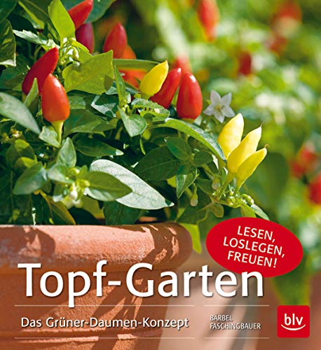 Topf-Garten: Das Grüner-Daumen-Konzept - Faschingbauer, Bärbel