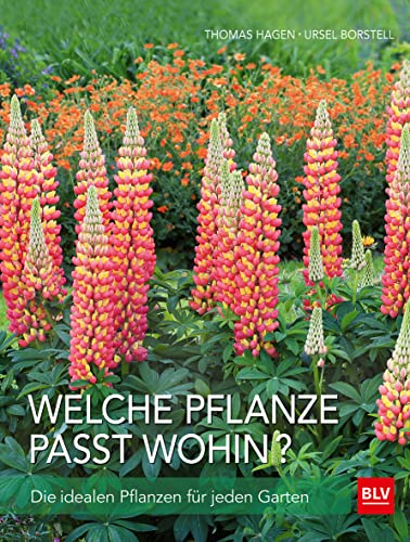 Stock image for Welche Pflanze passt wohin? -Language: german for sale by GreatBookPrices