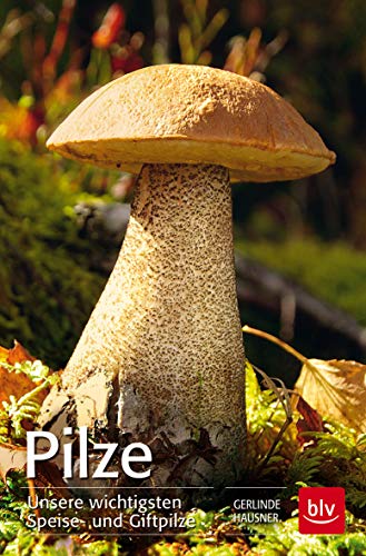 Stock image for Pilze: Unsere wichtigsten Speise- und Giftpilze for sale by GF Books, Inc.