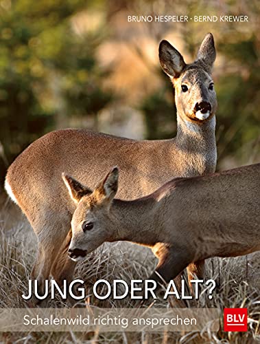 Beispielbild fr Jung oder alt? -Language: german zum Verkauf von GreatBookPrices