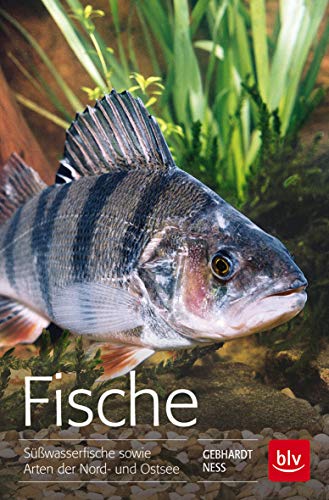 Beispielbild fr Fische: Swasserfische sowie Arten der Nord- und Ostsee zum Verkauf von medimops