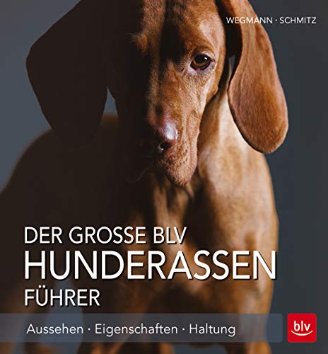 Stock image for Der groe BLV Hunderassen-Fhrer: Aussehen - Eigenschaften - Haltung for sale by medimops