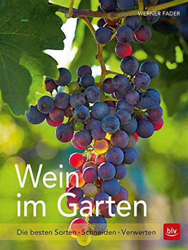 Beispielbild fr Wein im Garten: Die besten Sorten - Schneiden - Verwerten zum Verkauf von medimops
