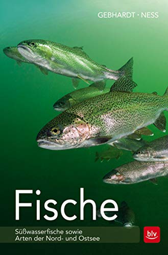 Beispielbild fr Fische: Swasserfische sowie Arten der Nord- und Ostsee zum Verkauf von medimops