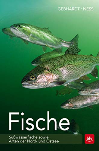 9783835416130: Fische: Swasserfische sowie Arten der Nord- und Ostsee