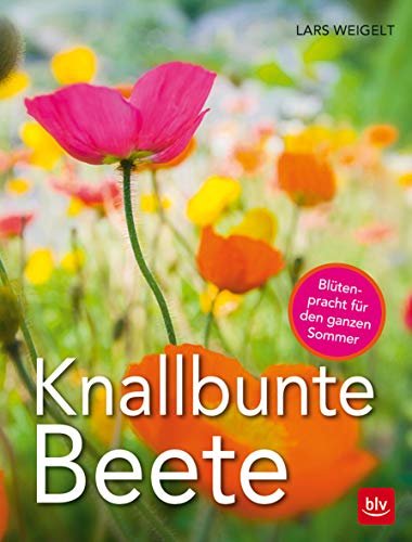 Stock image for Knallbunte Beete for sale by medimops