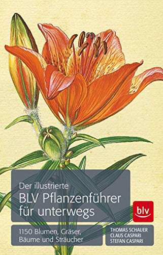 9783835416482: Der illustrierte BLV Pflanzenführer für unterwegs: 1150 Blumen, Gräser, Bäume und Sträucher