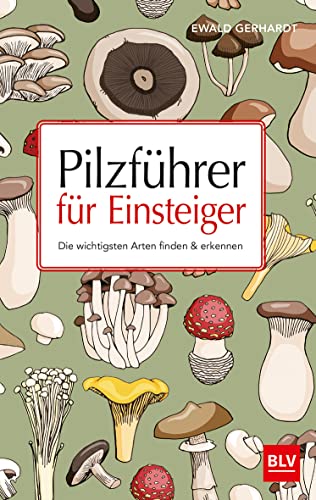 Beispielbild fr Pilzfhrer fr Einsteiger: Die wichtigsten Arten finden & erkennen zum Verkauf von medimops