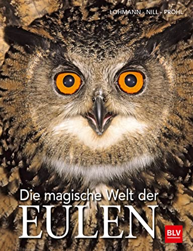 Stock image for Lohmann, M: Die magische Welt der Eulen for sale by Blackwell's