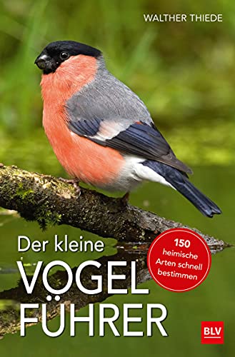 Stock image for Der kleine Vogelfhrer -Language: german for sale by GreatBookPrices