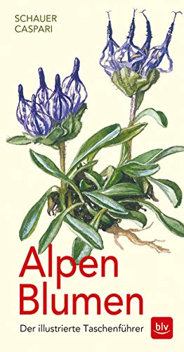 Beispielbild fr Alpen-Blumen: Der illustrierte Taschenfhrer zum Verkauf von medimops