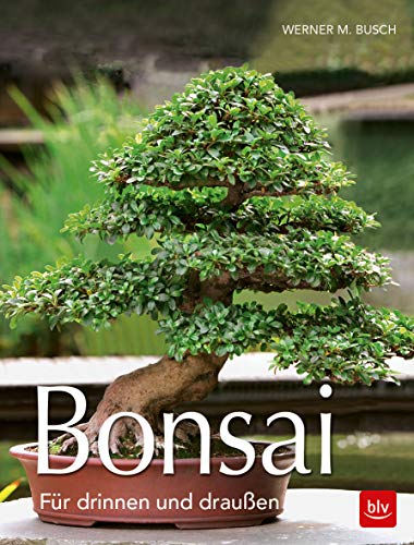 Beispielbild fr Bonsai: Fr drauen und drinnen zum Verkauf von medimops