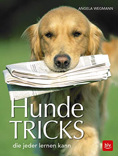 Stock image for Hundetricks: die jeder lernen kann for sale by medimops