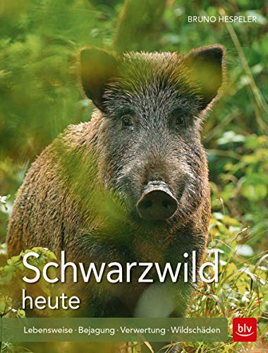 Beispielbild fr Schwarzwild heute -Language: german zum Verkauf von GreatBookPrices
