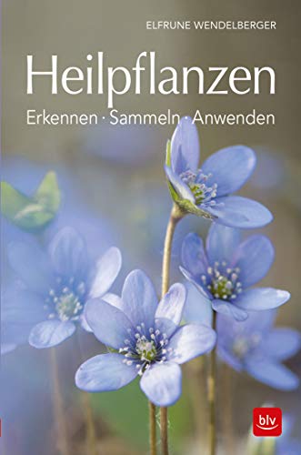 Stock image for Heilpflanzen: Erkennen - Sammeln - Anwenden for sale by medimops