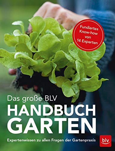 Beispielbild fr Das groe BLV Handbuch Garten: Expertenwissen zu allen Fragen der Gartenpraxis zum Verkauf von medimops
