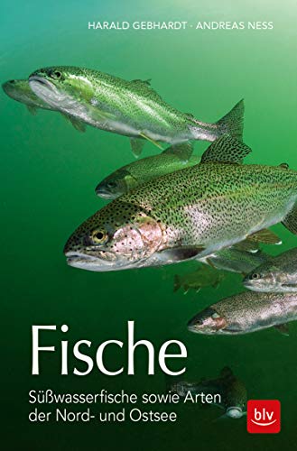 Stock image for Fische: Swasserfische sowie Arten der Nord- und Ostsee for sale by medimops