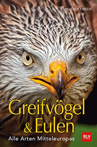 Stock image for BLV Greifvgel & Eulen: Alle Arten Mitteleuropas for sale by Revaluation Books