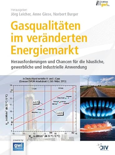 Stock image for Gasqualitten im vernderten Energiemarkt Herausforderungen und Chancen fr die husliche, gewerbliche und industrielle Anwendung for sale by Buchpark