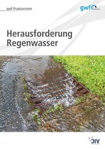 Stock image for Herausforderung Regenwasser -Language: german for sale by GreatBookPrices