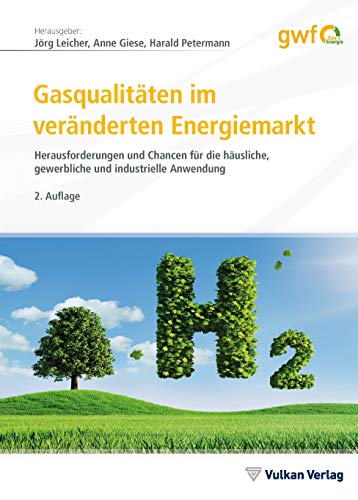 Stock image for Gasqualit�ten im ver�nderten Energiemarkt: Herausforderungen und Chancen f�r die h�usliche, gewerbliche und industrielle Anwendung for sale by Chiron Media