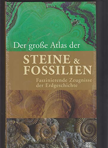 Der große Atlas der Steine & Fossilien Faszinierende Zeugnisse der Erdgeschichte - Arthur B. Busbey III., Robert R. Coenraads, David Roots, Paul Willis