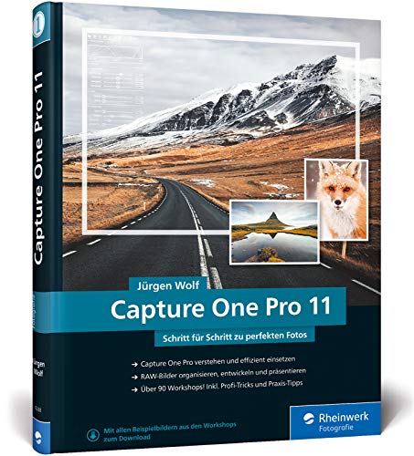 Stock image for Capture One Pro 11: Schritt fr Schritt zu perfekten Fotos ? Workshops fr Einsteiger und Fortgeschrittene for sale by medimops