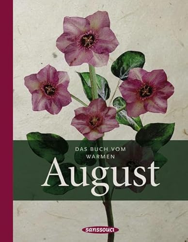 Stock image for Das Buch vom warmen August for sale by medimops