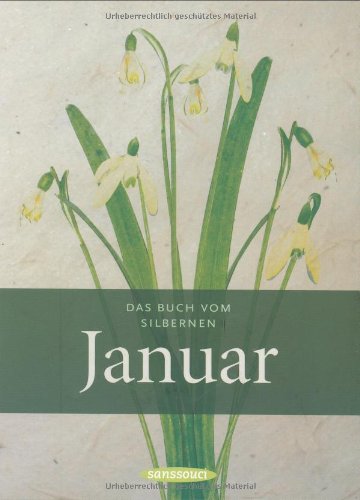 Stock image for Das Buch vom silbernen Januar for sale by medimops