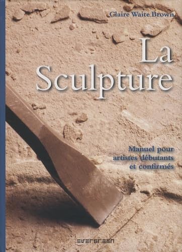 Stock image for La Sculpture : Manuel pour artistes dbutants et confirms for sale by medimops