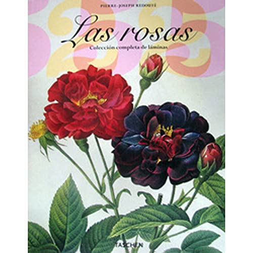 Stock image for Roses (25 aniversario). for sale by Iridium_Books