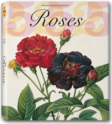 Beispielbild fr Pierre-Joseph Redout. Die Rosen. Die vollstndigen Tafeln zum Verkauf von medimops