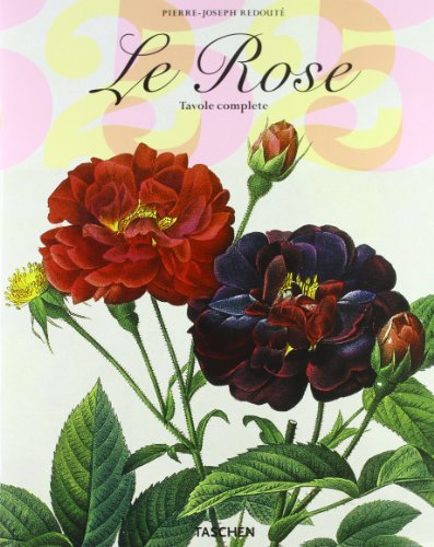 9783836501743: Roses. Ediz. italiana (Jumbo 25)