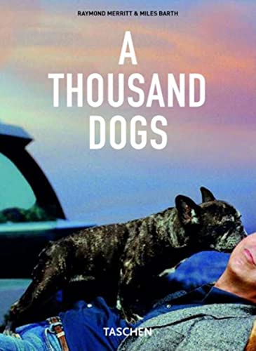 Stock image for A Thousand Dogs for sale by AwesomeBooks