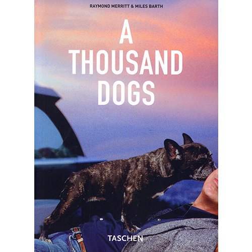 Imagen de archivo de A THOUSAND DOGS a la venta por Columbia Books, ABAA/ILAB, MWABA