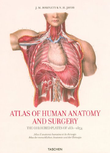 Beispielbild fr Atlas of Human Anatomy and Surgery: The complete colored Plates of 1831-1854 (25th Anniversary Speci zum Verkauf von medimops