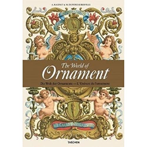 Imagen de archivo de The World of Ornament a la venta por Books Puddle