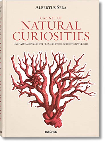 Beispielbild fr Seba: Cabinet of Natural Curiosities zum Verkauf von SecondSale