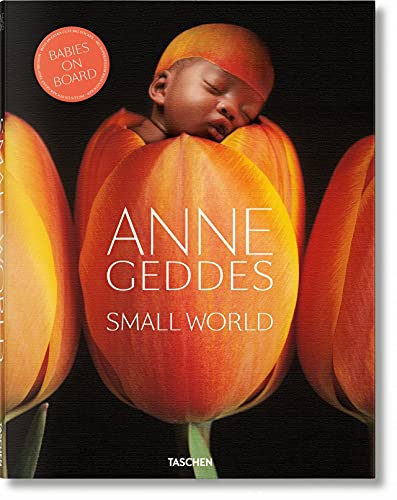 Beispielbild fr Anne Geddes: Small World zum Verkauf von Hennessey + Ingalls