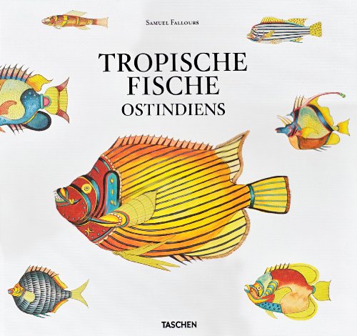 Beispielbild fr Samuel Fallours: Tropische Fische Ostindiens zum Verkauf von medimops