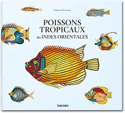 Beispielbild fr Poissons tropicaux des Indes orientales zum Verkauf von Ammareal