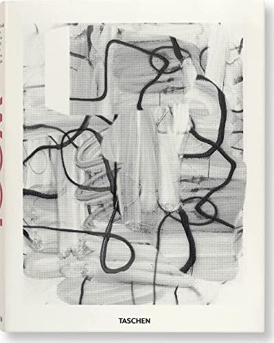 9783836535625: Christopher Wool