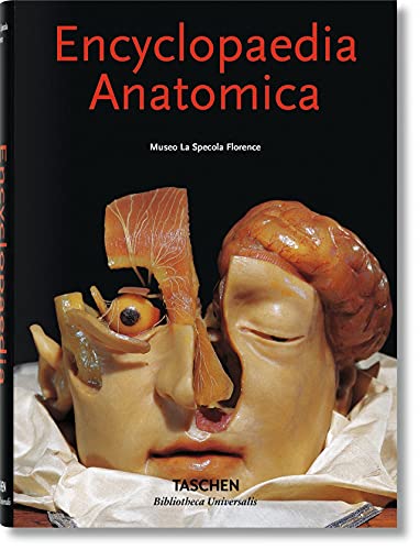 Imagen de archivo de Encyclopaedia Anatomica a la venta por medimops