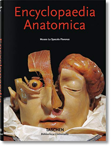 Stock image for Encyclopaedia Anatomica (Italian, PorDring, Monika Von; Poggesi, Mar for sale by Iridium_Books