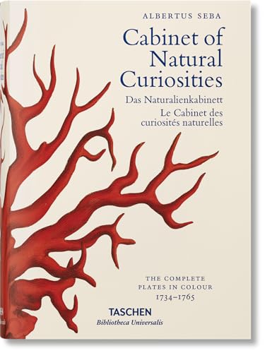 Beispielbild fr Seba. Cabinet of Natural Curiosities zum Verkauf von WorldofBooks